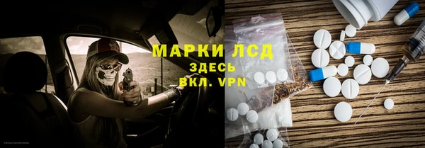 прущие грибы Волосово