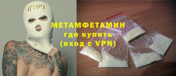 прущие грибы Волосово