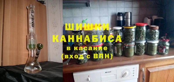 прущие грибы Волосово