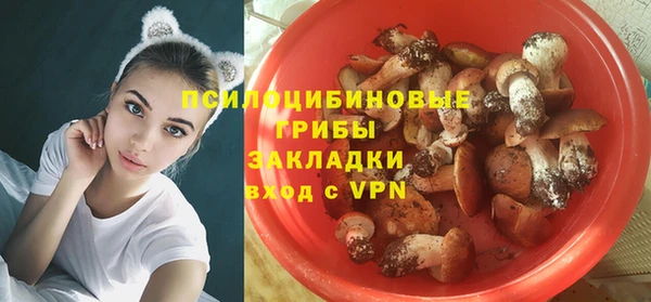 ешки Волоколамск