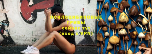 прущие грибы Волосово