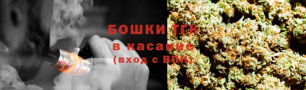 прущие грибы Волосово