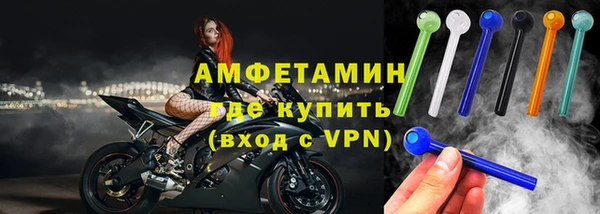 прущие грибы Волосово