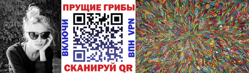 Купить закладки  Конаково  Псилоцибиновые грибы мицелий 